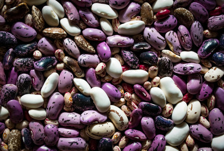 food background or texture colorful fruit beansの写真素材