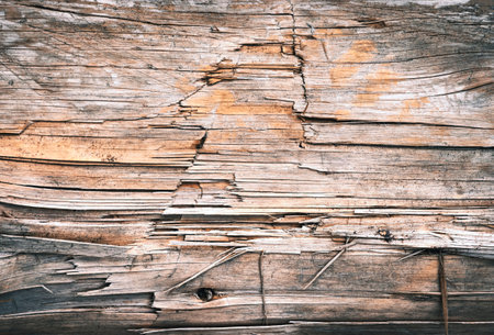 background or texture detail of wood with cracks on the surfaceの写真素材