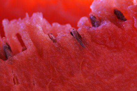 Delicious and sweet watermelon is a delight.の写真素材