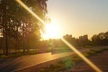 Sunset in the park on an autumn evening.の写真素材