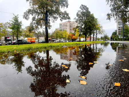 Autumn time, leaves in a puddle.の写真素材