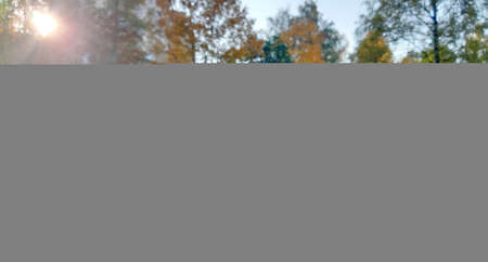 Two cups of coffee stand on a stump on a clear sunny day.の写真素材