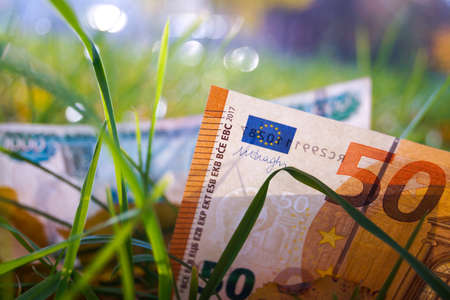 The 50 Euro banknote is lying in the grass. Back 1000 rubles. The concept of the exchange rate.の写真素材
