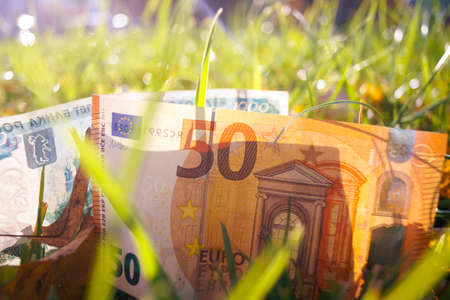 The 50 Euro banknote is lying in the grass. Back 1000 rubles. The concept of the exchange rate.の写真素材
