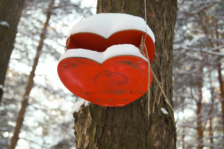 Red bird house in the shape of hearts, hanging on tree. Covered with snow. Blurred background.の写真素材