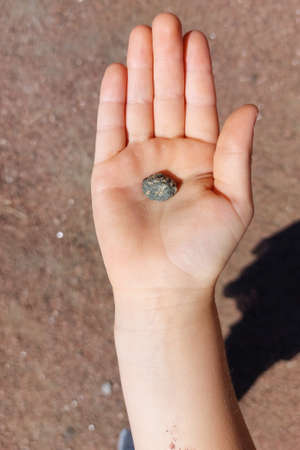 Selective focus. On palm of child there is stone. Construction concept. First stone in construction of house.の写真素材