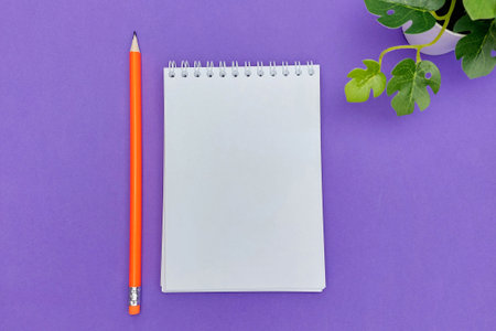View from above. Orange pen, green plant. Purple background.Location is convenient for lefties.