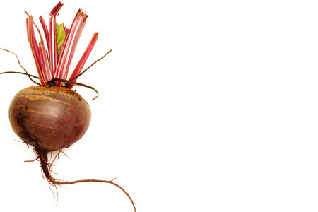 Beetroot isolated on white backgroundの写真素材