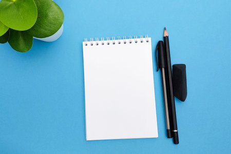 View from above. Notepad, black pen, rubber band, pencil, green plant. Blue background. Concept of...