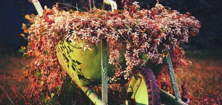 A green rustic wheelbarrow full of colorful flowers on a grass lawnの写真素材
