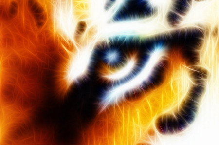 beautiful tiger eye fractal with oil painting on canvasの写真素材