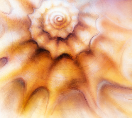 Abstract painting sea shell, mixed media art background with light circle bokehの写真素材