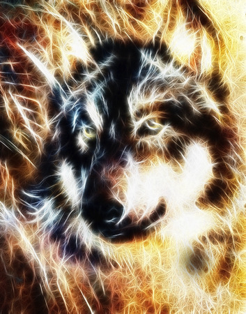 Wolf and eagle color painting, feathers background, multicolor collage illustration. fractal effectの写真素材