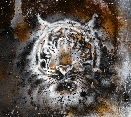 tiger collage on color abstract  background,  rust structure, wildlife animalsの写真素材