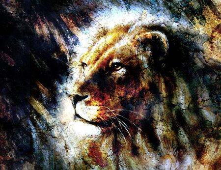 beautiful  painting of a lion head with a majesticaly peaceful expression, profile portraitの写真素材