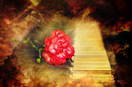 Old vintage gand piano keys with a red carnation flower, vintage picture.music conceptの写真素材