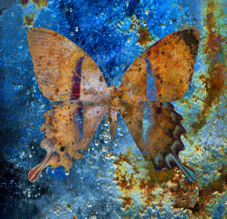 color butterfly, illustration and mixed medium, abstract  background, vintage rust effectの写真素材