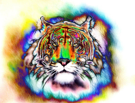 painting of a bright mighty tiger head on a soft toned abstract background eye contact.の写真素材