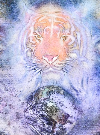 painting  tiger on color cosmic  backgroundの写真素材