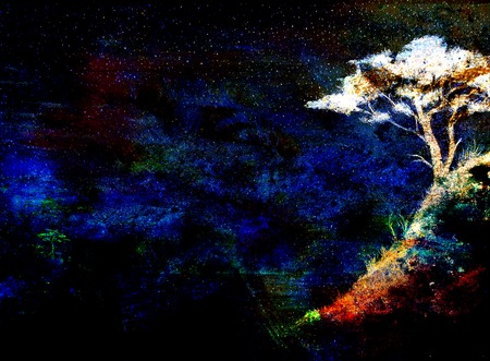 Night sky with trees, color effect collage.の写真素材