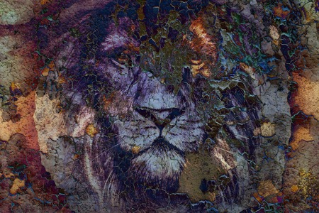 lion face drawing  on vintage paper collage, abstract background. eye contact.の写真素材