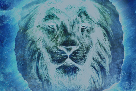 beautiful  painting of a lion head with a majesticaly peaceful expressionの写真素材