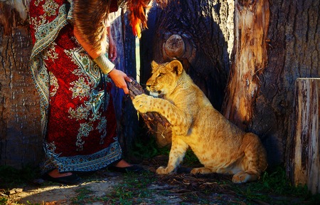 young woman with ornamental dress and gold jewel playing with lion cub in nature. lion playing with wood in woman hand.の写真素材