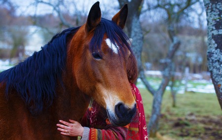 Portrait woman and horse in outdoor. Woman hugging a horseの写真素材