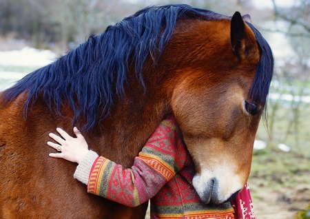 Portrait woman and horse in outdoor. Woman hugging a horseの写真素材