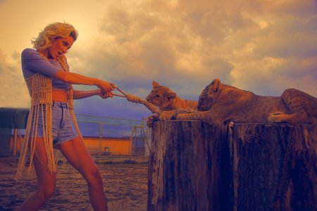 sexy woman playing with lion cub on background with beautiful sky and storm clouds. orange effect. woman fighting with lionの写真素材