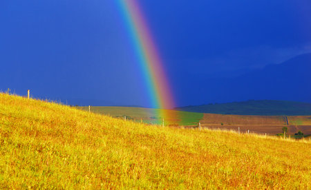 Beautiful landscape, green and yellow meadow and rainbow.の写真素材