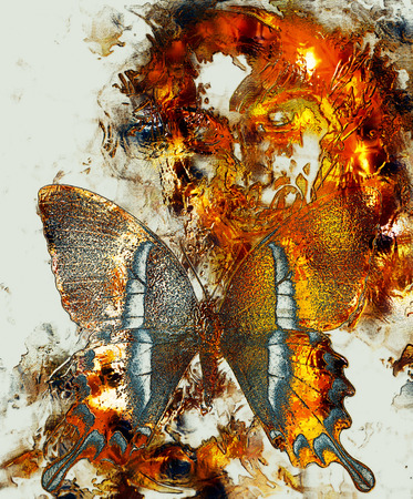 Beautiful Goddness women and color butterfly, mixed media, abstract color background, Golden effectの写真素材