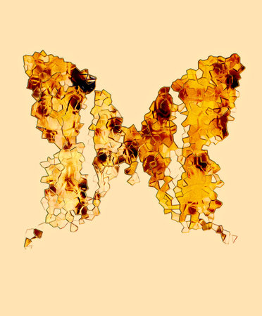 illustration of a color butterfly, mixed medium, abstract color collage and mosaicの写真素材