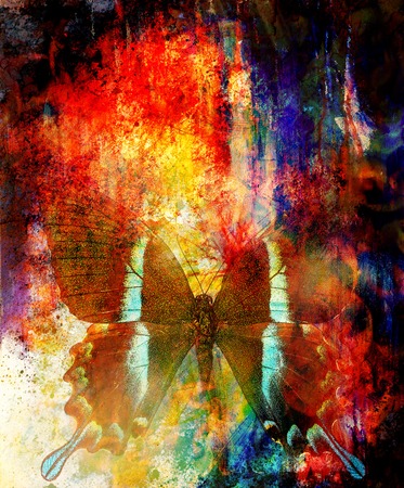 illustration of a butterfly, mixed medium, abstract color background.の写真素材