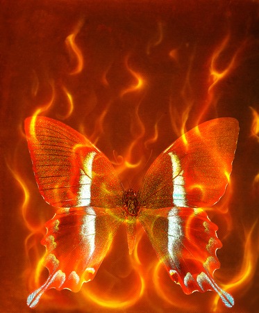 illustration of a butterfly, mixed medium, abstract color background and color fire effect, Red, orange, black colorの写真素材