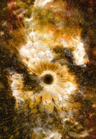 Space and stars with flower, color galaxi  background, computer collageの写真素材
