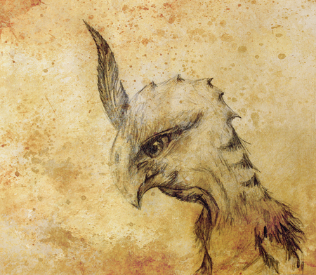 pencil drawing bird dragon on old paper backgroundの写真素材