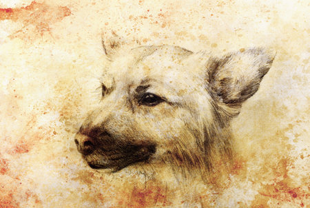 Dog pencil drawing on old paper, vintage paper and old structure with color spots