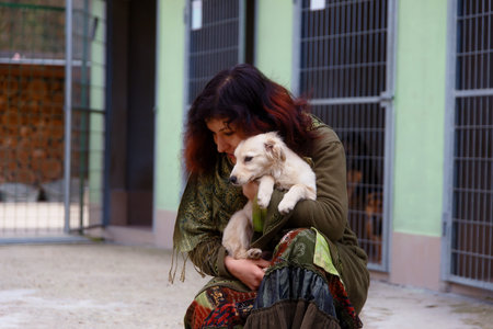 dogs in dog shelter and woman. Animal shelter