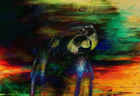 pencil deawing parrot on old paper, vintage paper and old structureの写真素材