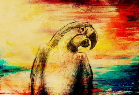 pencil deawing parrot on old paper, vintage paper and old structureの写真素材