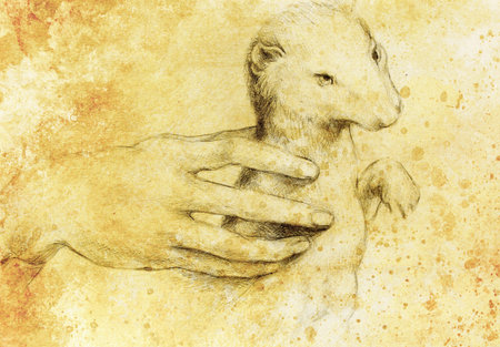 drawing according Leonaqrdo daVinci , detail with hand touching stoatの写真素材
