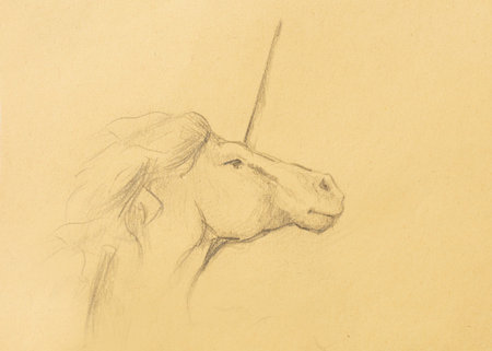Pencil deawing Drawing pencil unicorn on old paper, vintage paperの写真素材