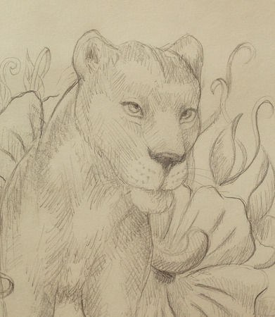 Lioness with flower, pencil drawing. Profile portraitの写真素材