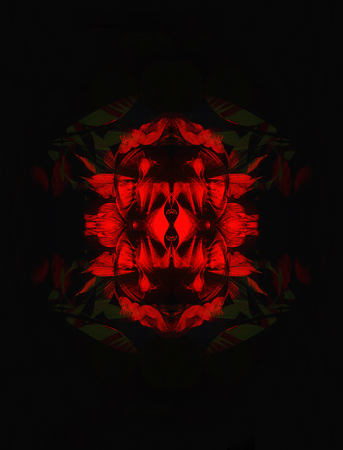 Red flower on black background. Painting and computer collageの写真素材