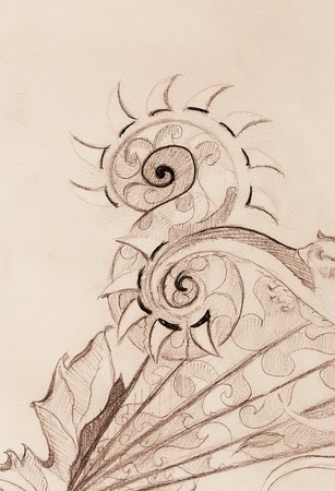 Ornamental Drawing. Original hand draw and computer collage. Color structureの写真素材