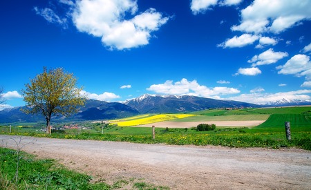 Beautiful landscape, road and green and yellow meadow with field and snow mountain and villageの写真素材