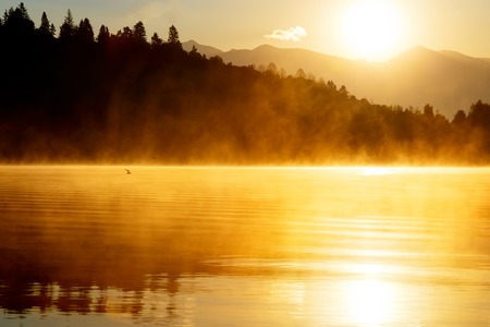 beautiful landscape with mountains and lake at dawn in golden and orange tones. Flying seagull over waterの写真素材