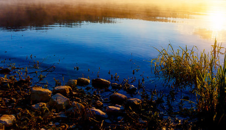 detail of grass halm at a lake in magical morning time with dawning sun