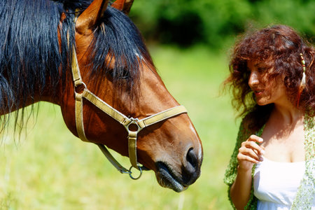 girl in white dress talking to a brown horse on meadowの写真素材